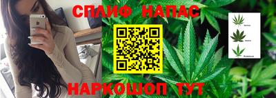 твердый Моздок