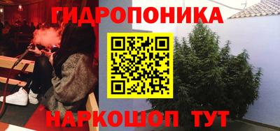 сатива Можайск