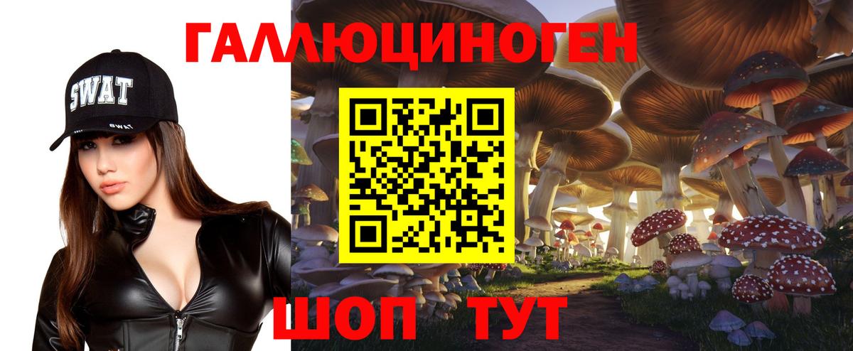Галлюциногенные грибы Psilocybe  Псилоцибиновые грибы GOLDEN TEACHER  Вход с VPN  Владимир 
