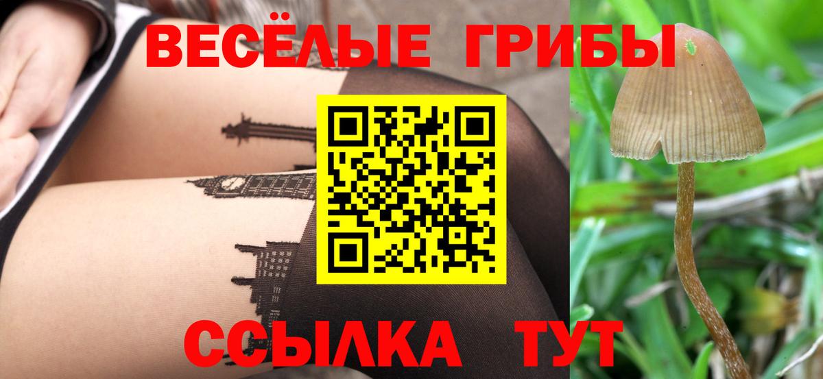 Галлюциногенные грибы Cubensis Владимир